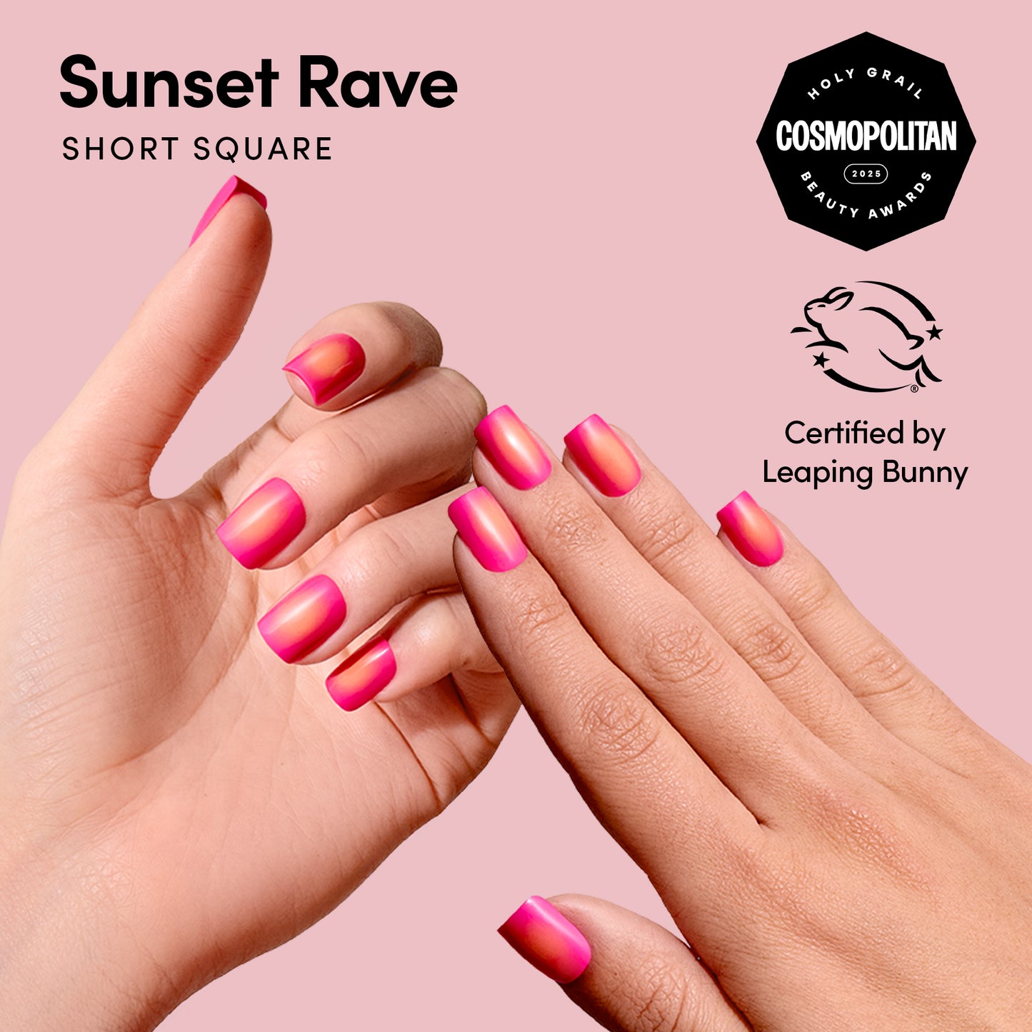 Sunset Rave