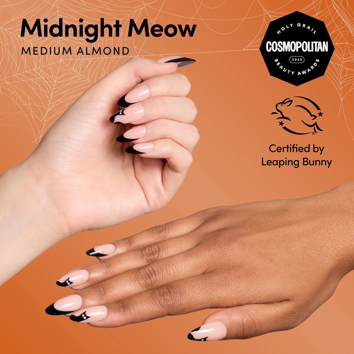 Midnight Meow
