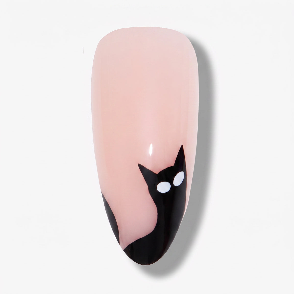 Midnight Meow