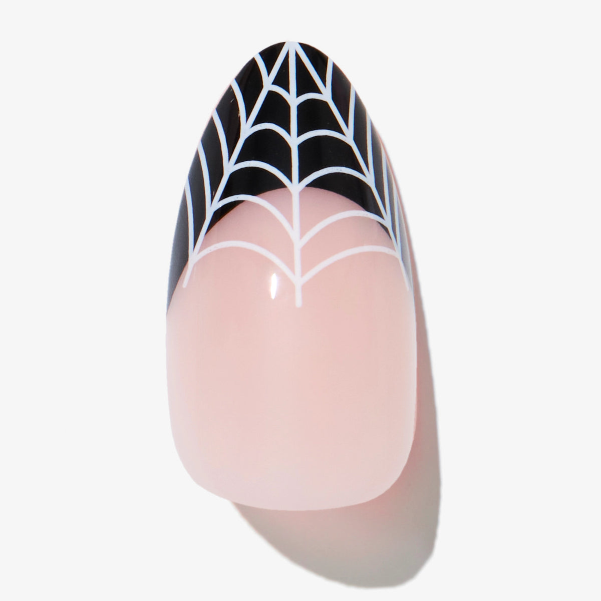 Wicked Webs